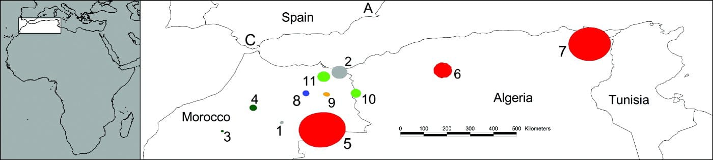 Staging areas of immature Short-toed Snake Eagles during summer. Each number corresponds to a different staging area. ‘C’ (Cadiz) and ‘A’ (Alicante) are the nesting areas where the birds were tagged in southern Spain.