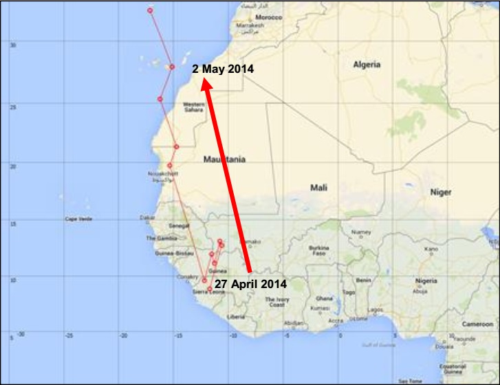 Plain Swift’s spring migration: Position of H001 between 27 April and 2 May 2014.