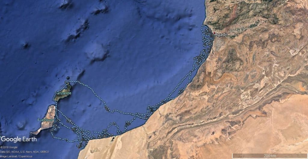 Movements of a Cape Verde Shearwater caught and GPS-tracked in Montaña Clara islet, off Lanzarote, Canary Islands (Data of the University of Barcelona's ‘Seabird Ecology’ group)