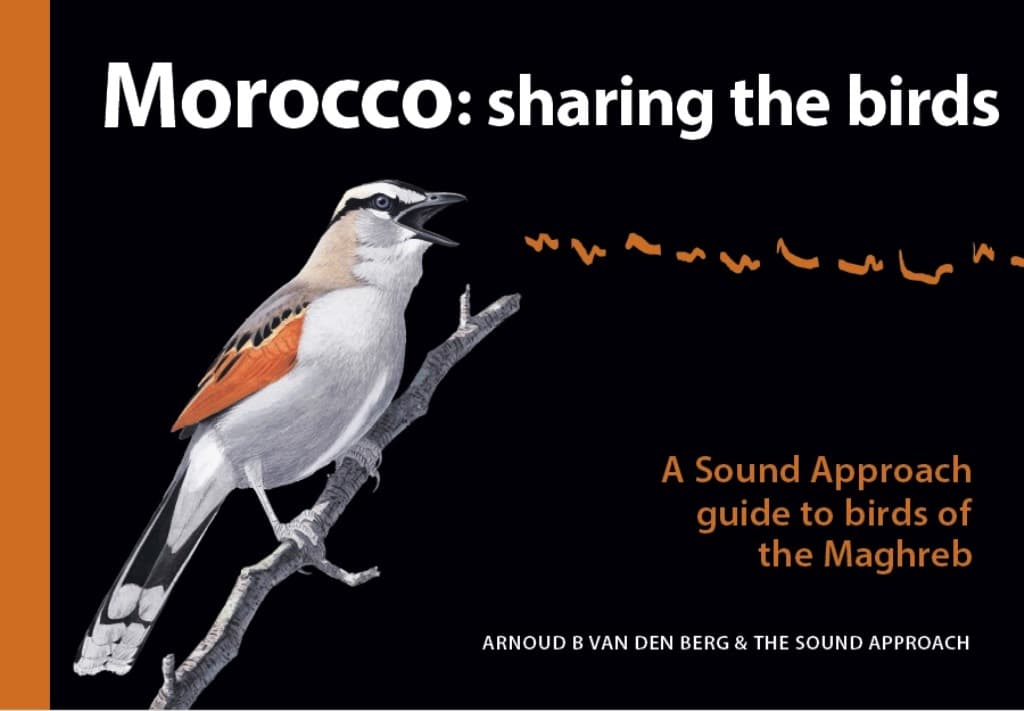 ‘Morocco: sharing the birds’ by Arnoud B van den Berg & The Sound Approach