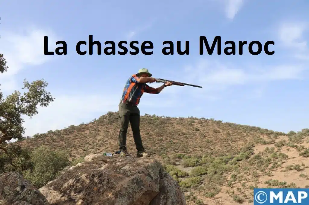 Arrêté annuel de la chasse au Maroc 2023/2024