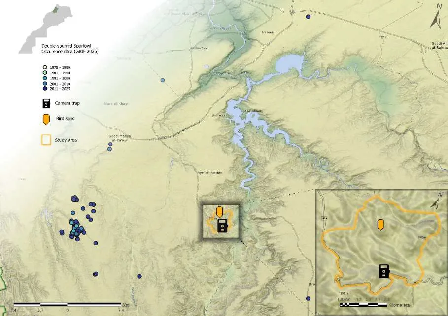 Location of the site where the Double-spurred Spurfowls were recorded and the bulk of the recent records from citizen science platforms to the west (H. Iallaten et al).